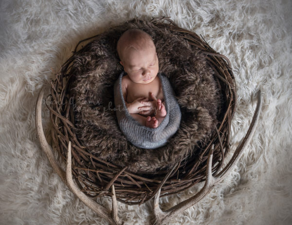 Newborn Boy Photography Ideas- Woodland Earth Tones- Dallas TX