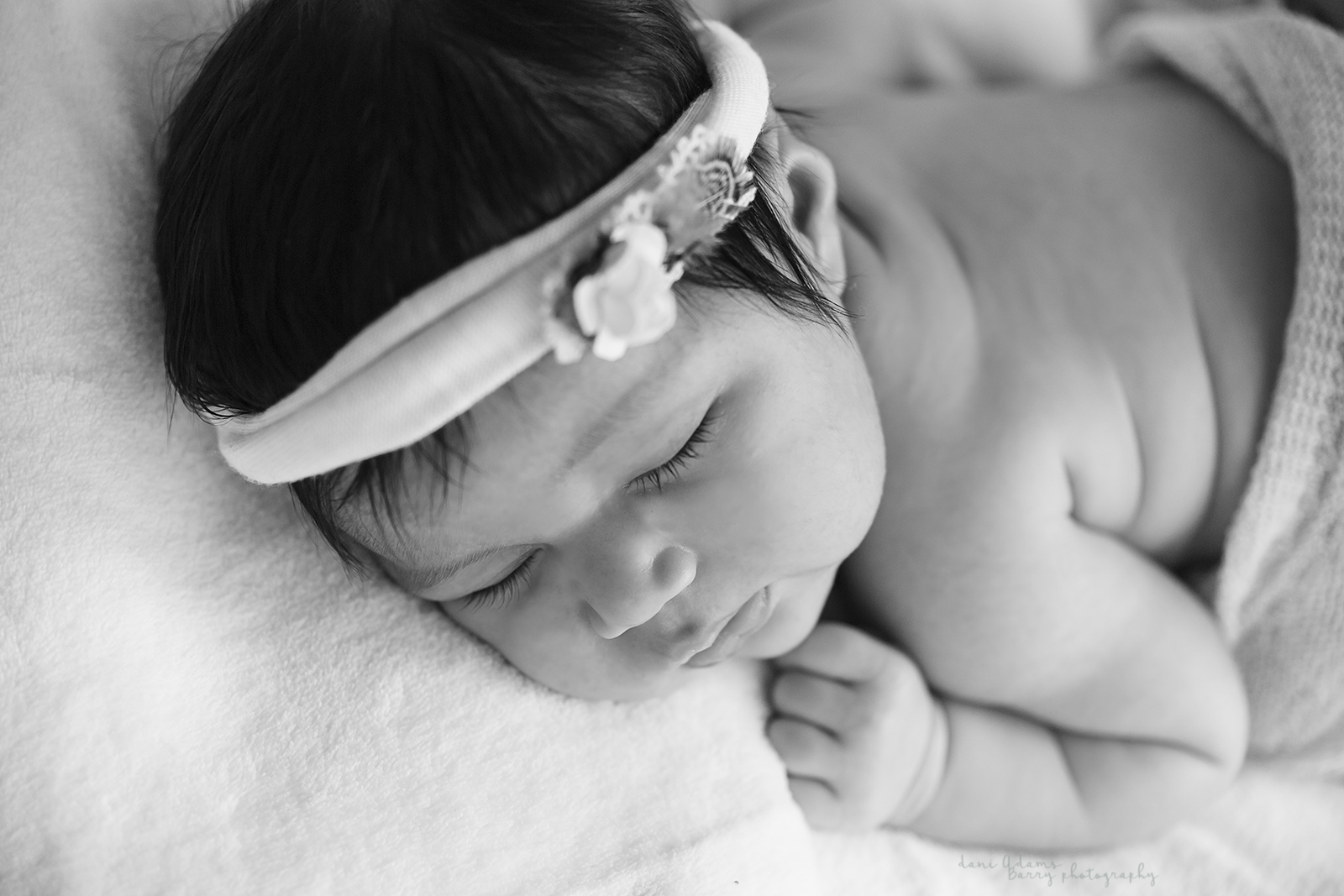 newborn photography dallas