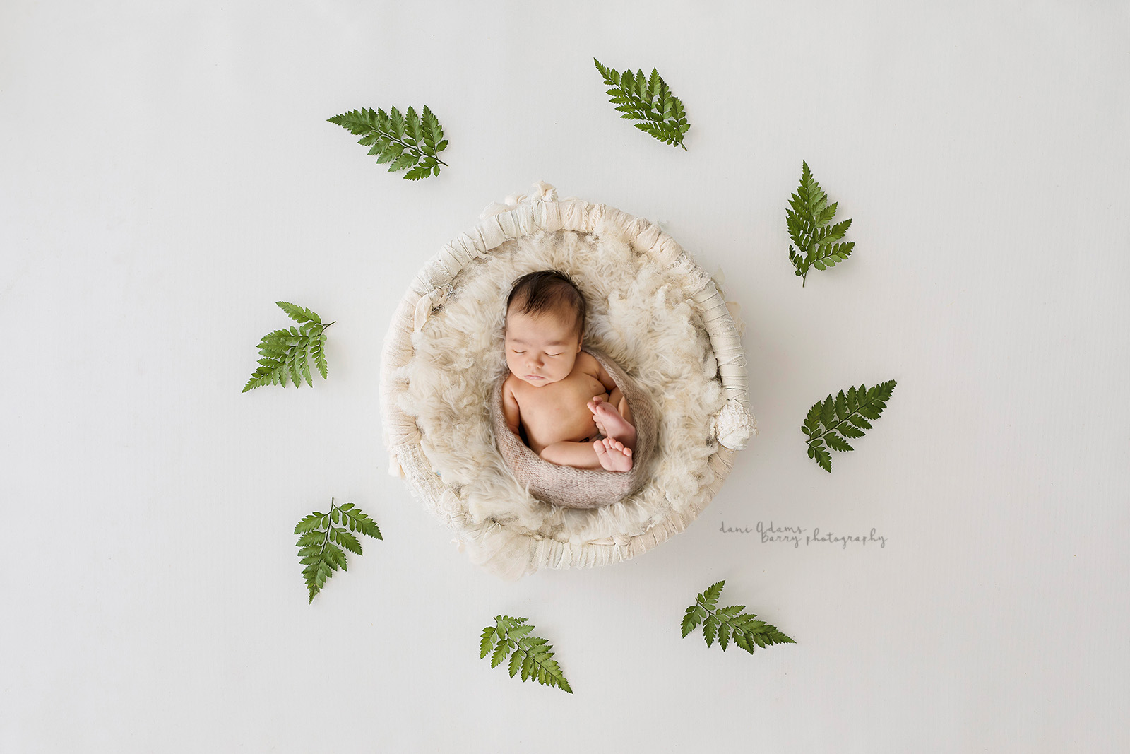 Woodland Newborn Photography Dallas TX Dani Adams Barry