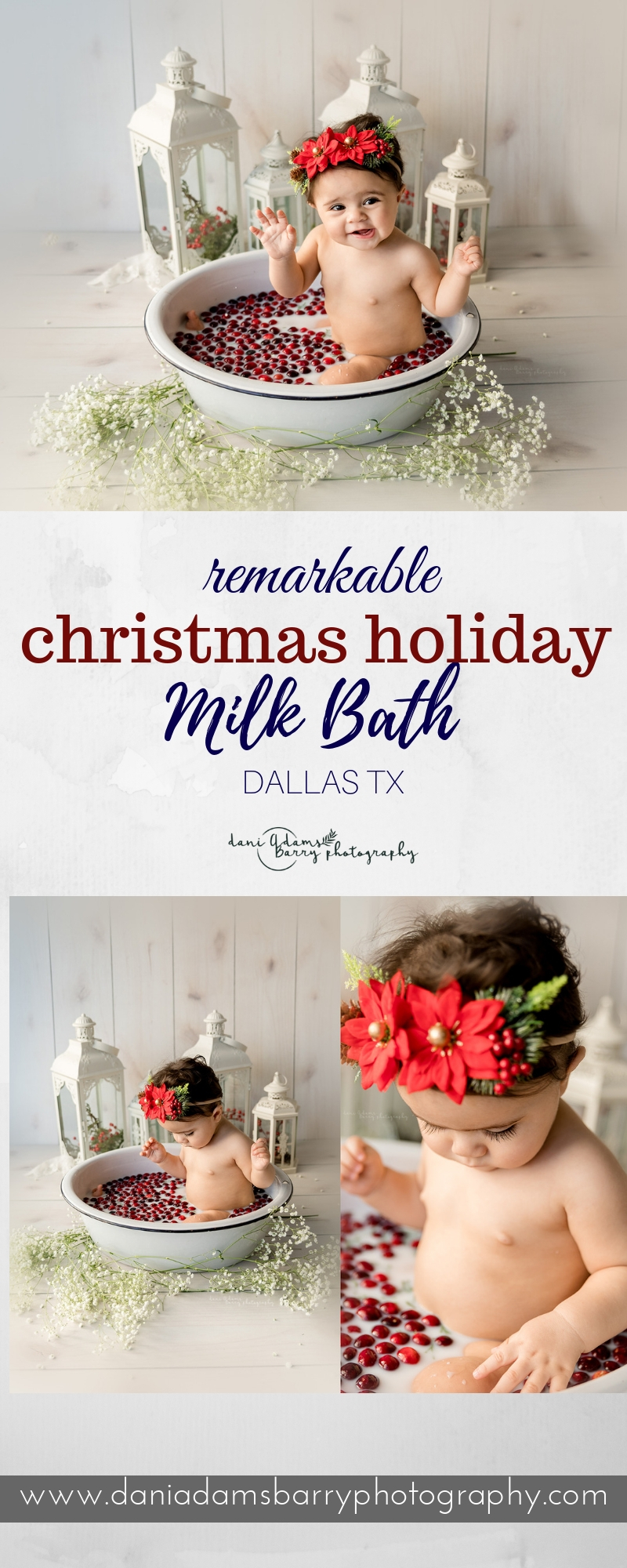 Amazing Holiday Milk Bath Photography - Christmas Baby Milestone Photography - Dani Adams Barry Photography Dallas TX