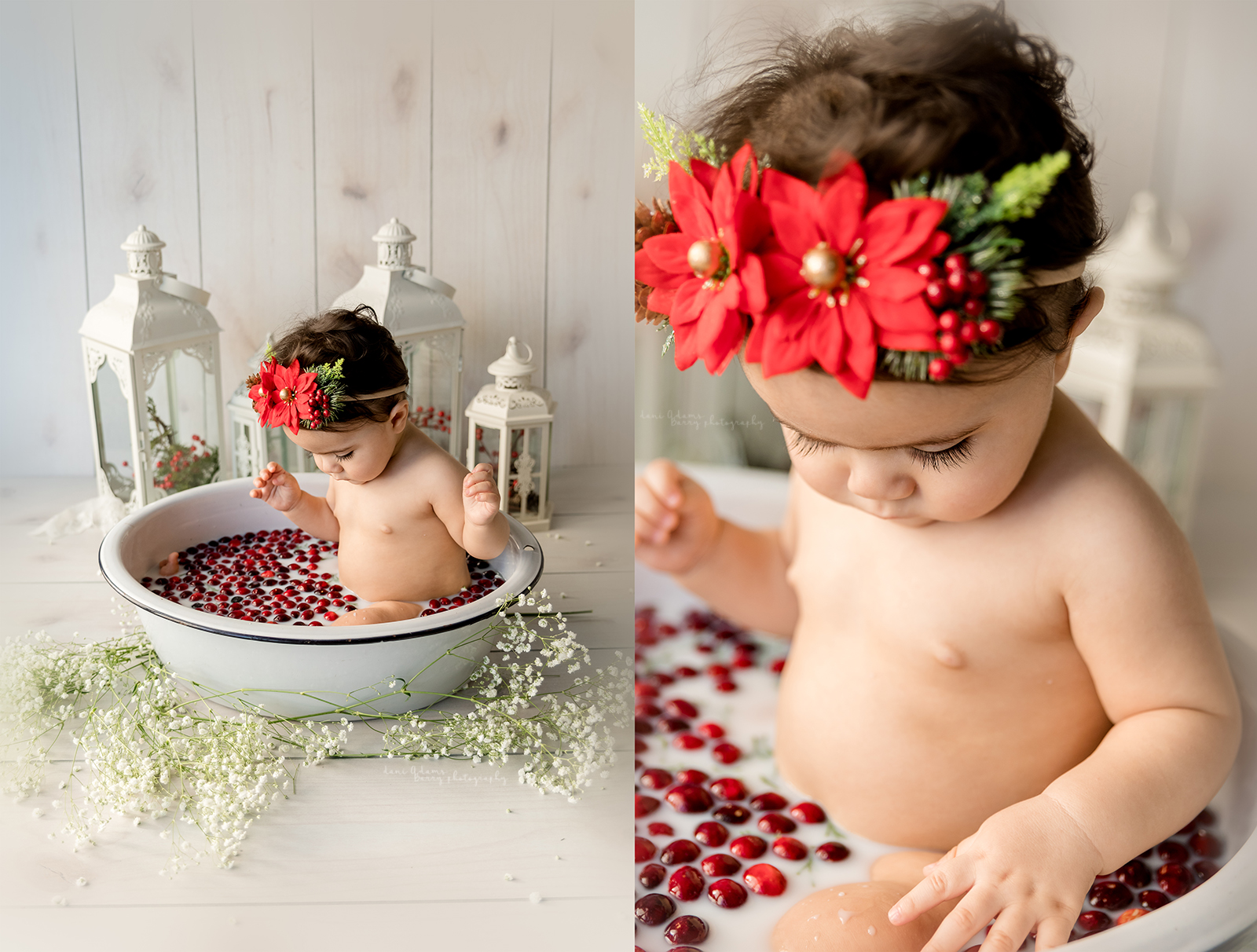 baby milestone christmas milk bath photography