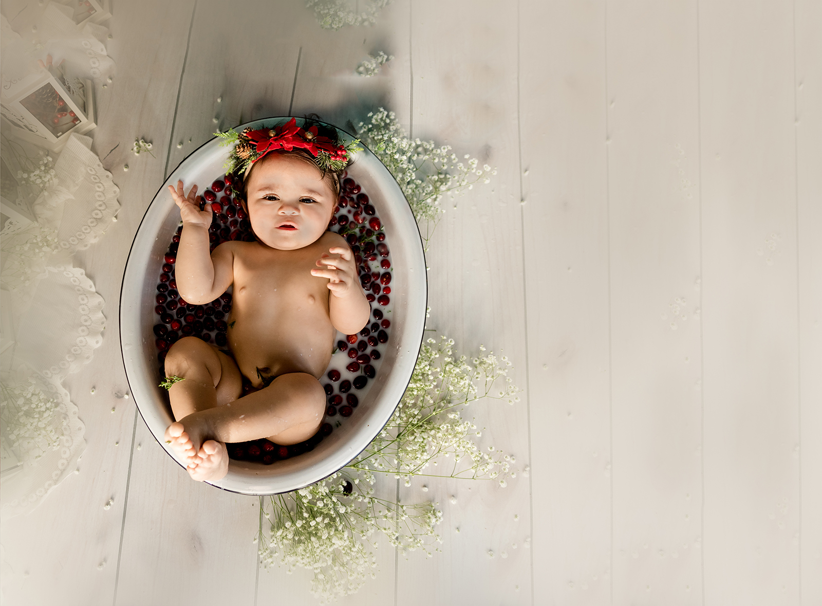 holiday christmas theme baby milk bath photography dani adams barry photography dallas tx