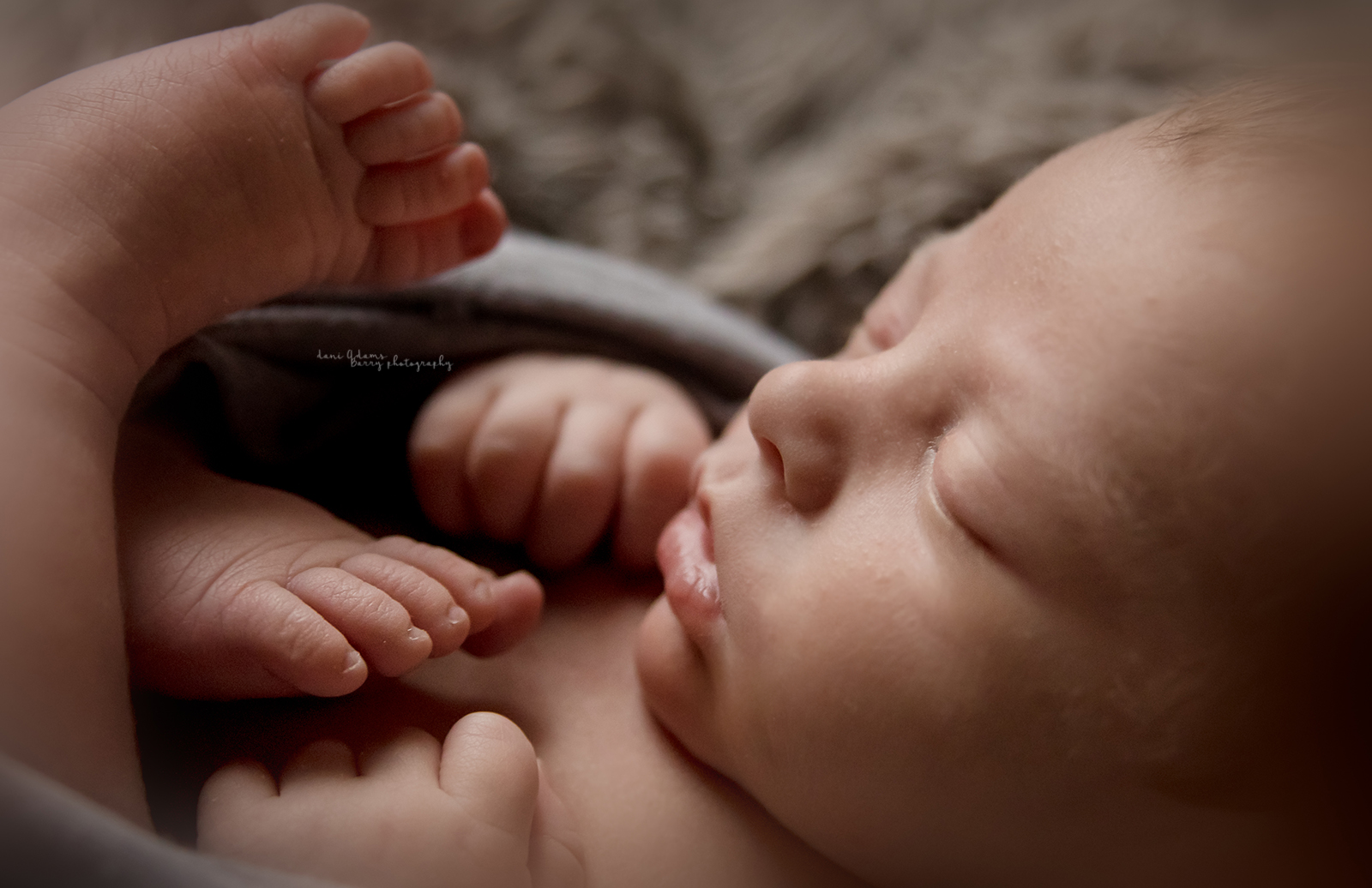 newborn boy photography dallas tx