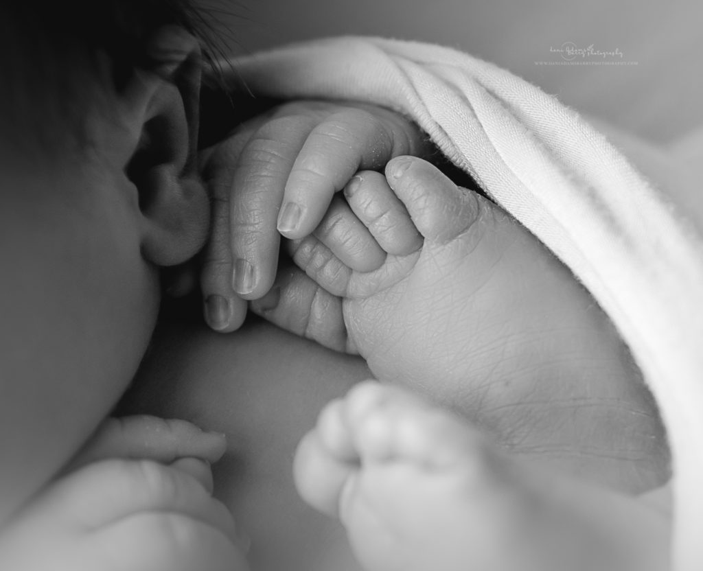 must have newborn photos details 3