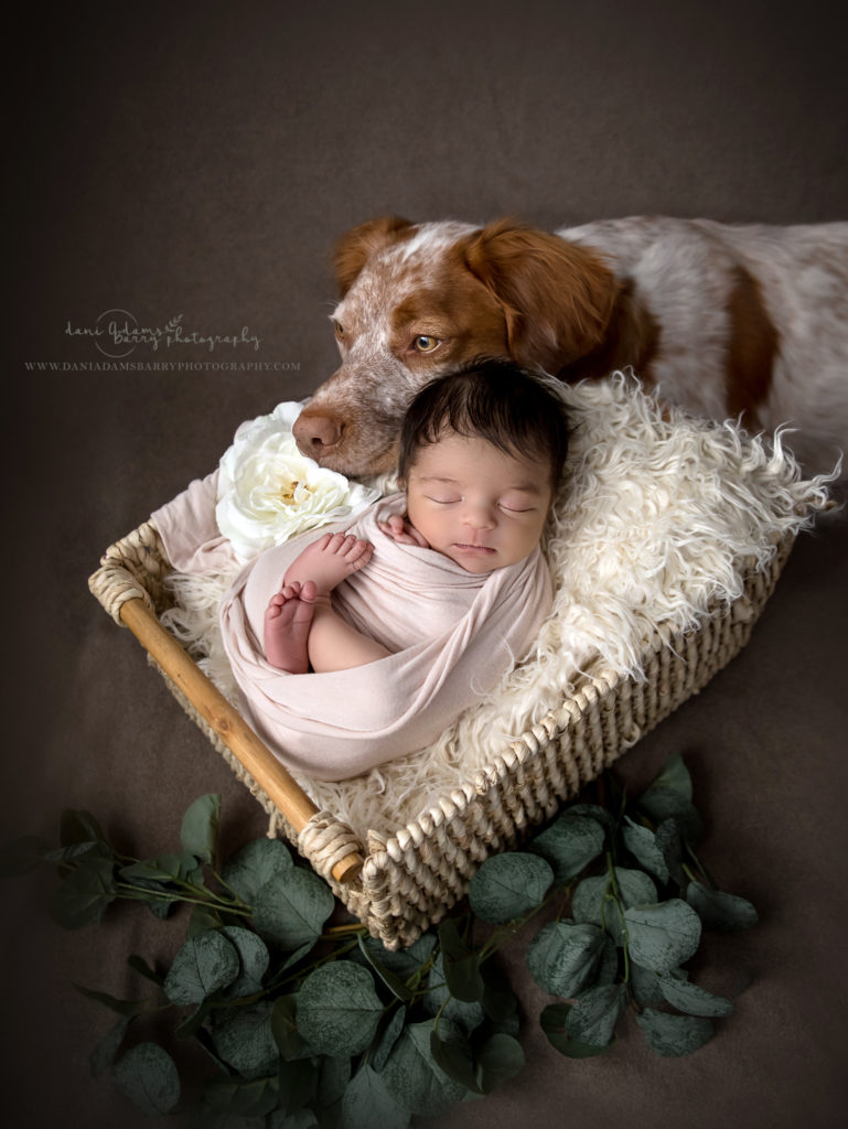 newborn and dog