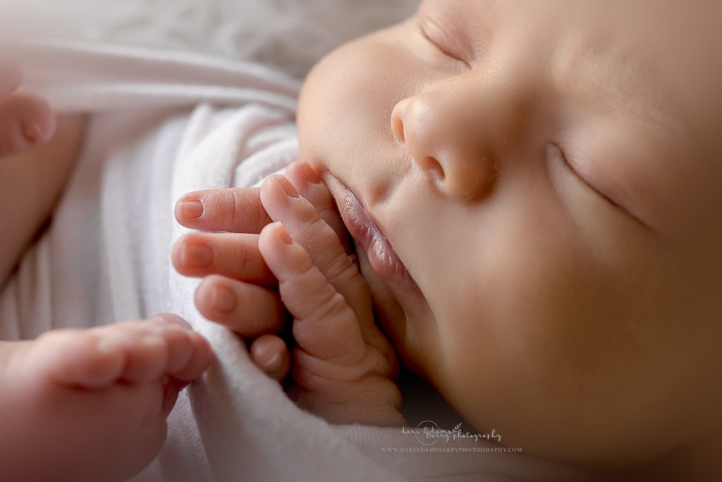 newborn details hands