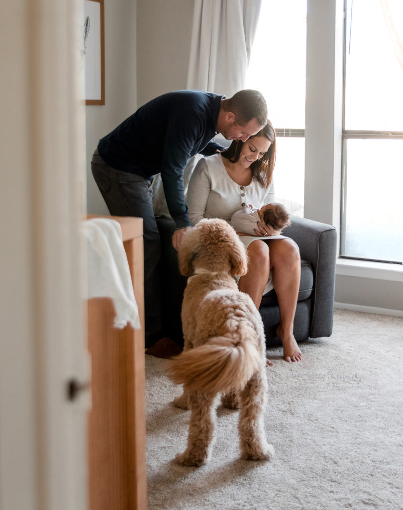 newborn in home photos