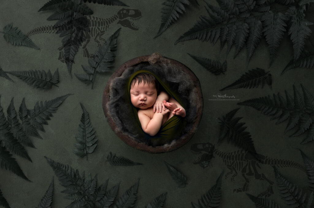 dinosaur newborn photos