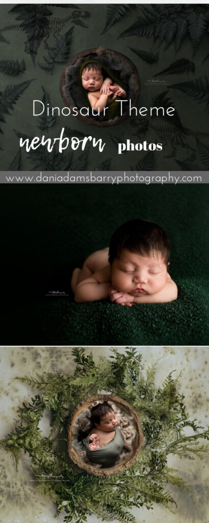 Dinosaur Theme Woodland Green Newborn Photos