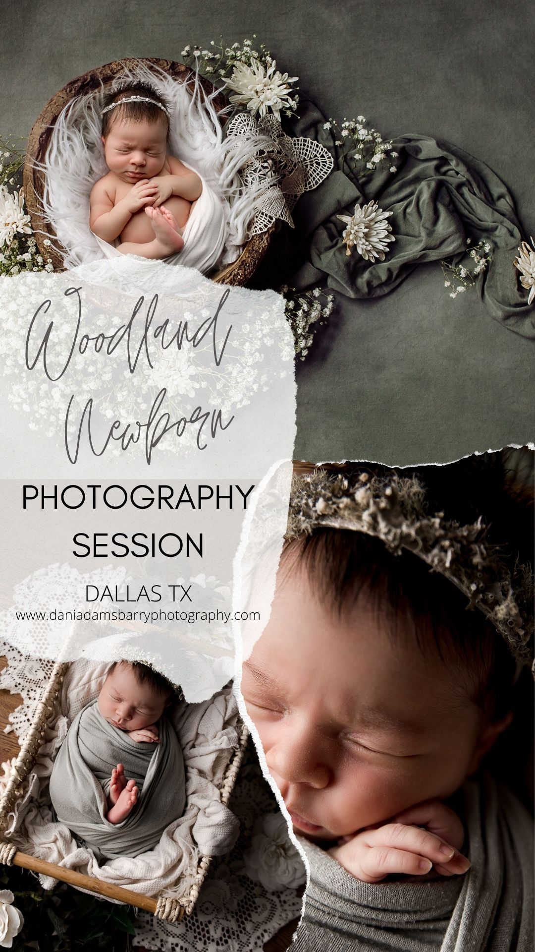 Floral Woodland Girl Newborn Photo Session - Dallas TX Photographer