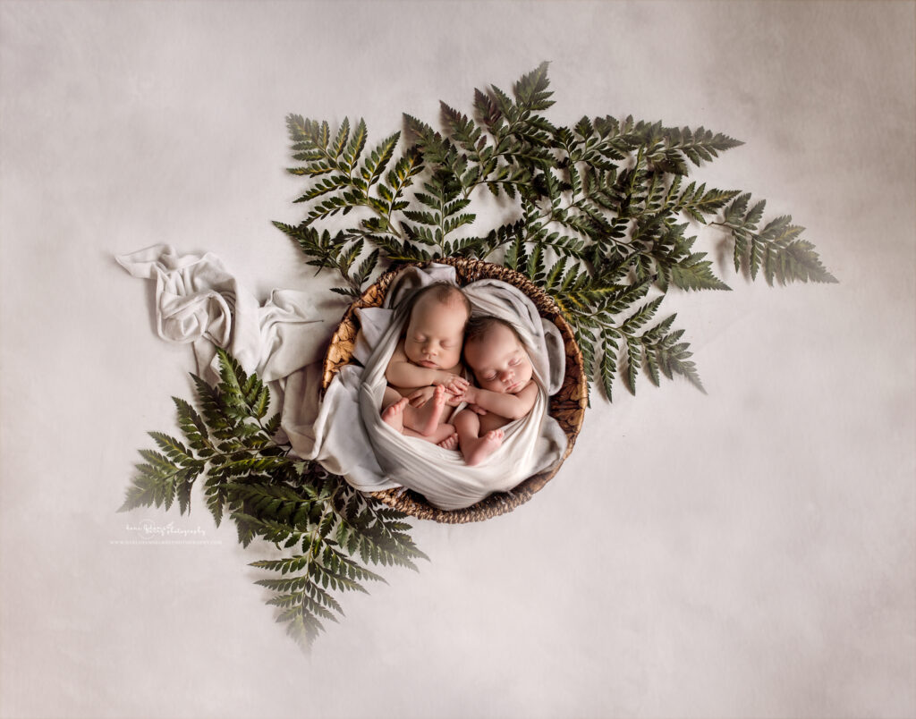 newborn twin photography fine art dallas texas twin baby photography