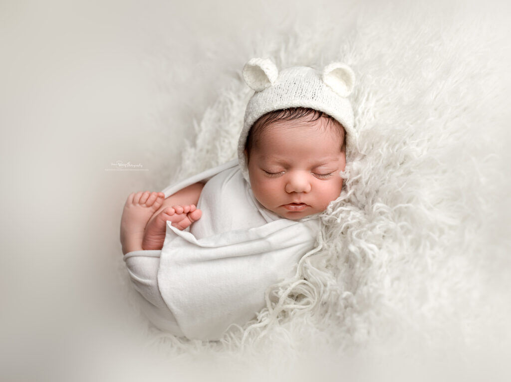 bear newborn photos