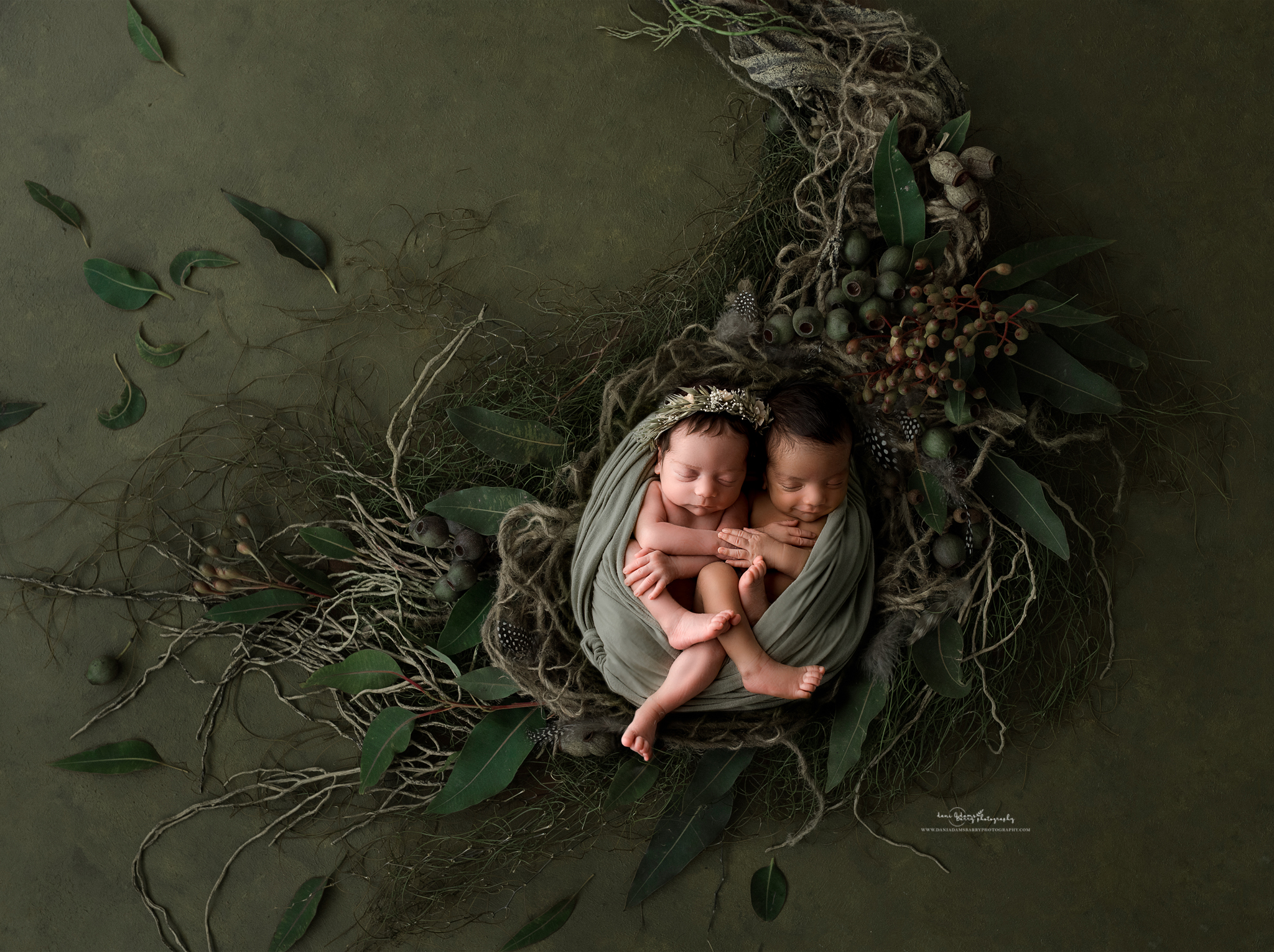 woodland newborn twins baby pictures