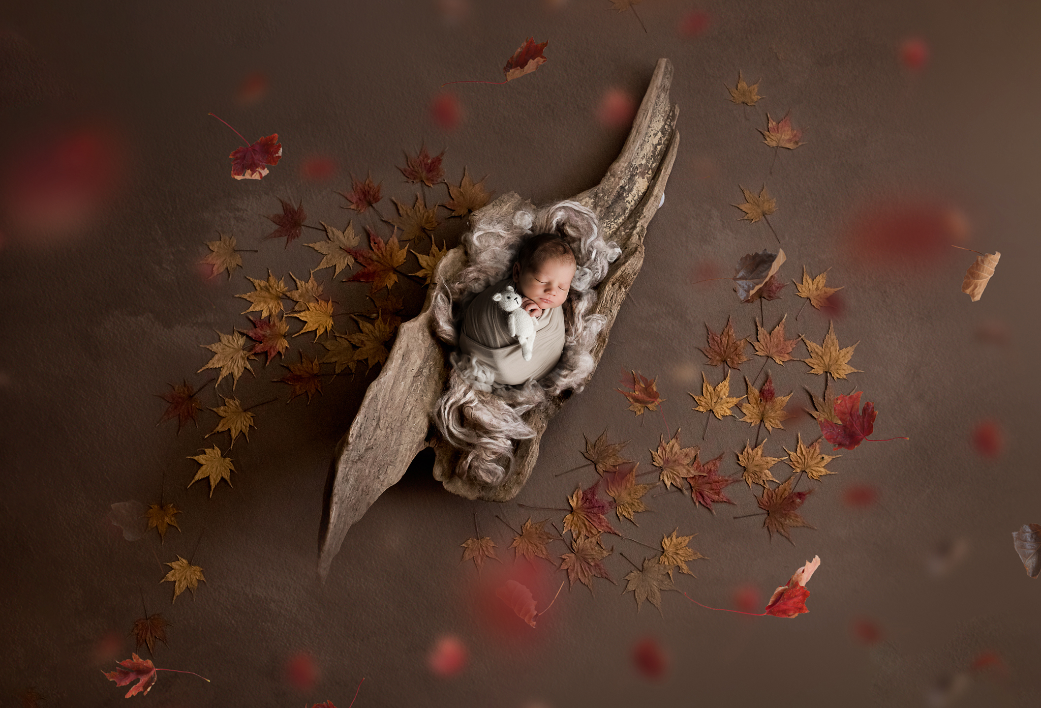 fall newborn photos