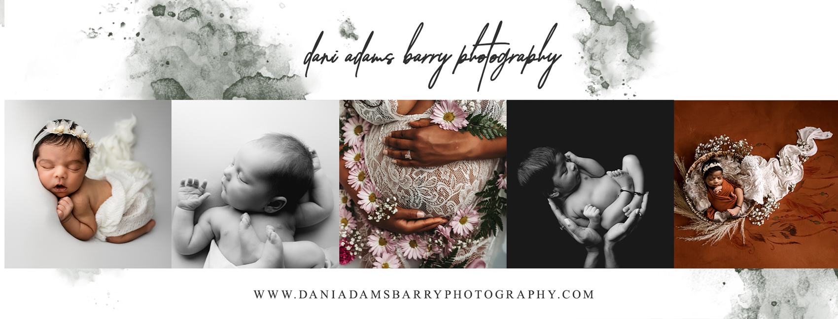 dani adams barry photography pricing