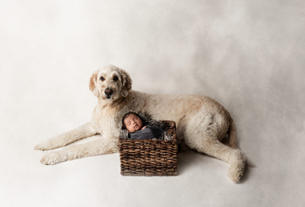 newborn boy and dog photo